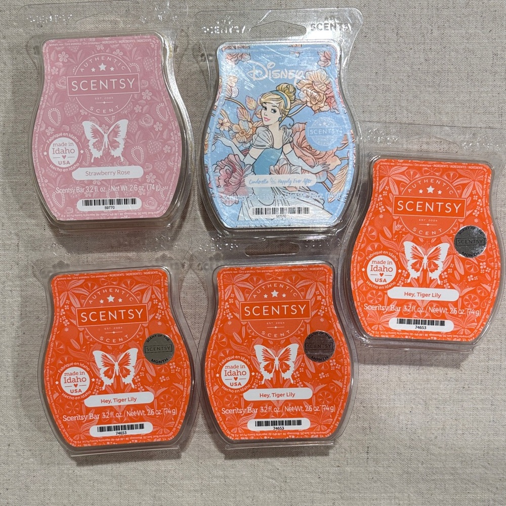 🌼 Scentsy Wax Melts Set - floral
